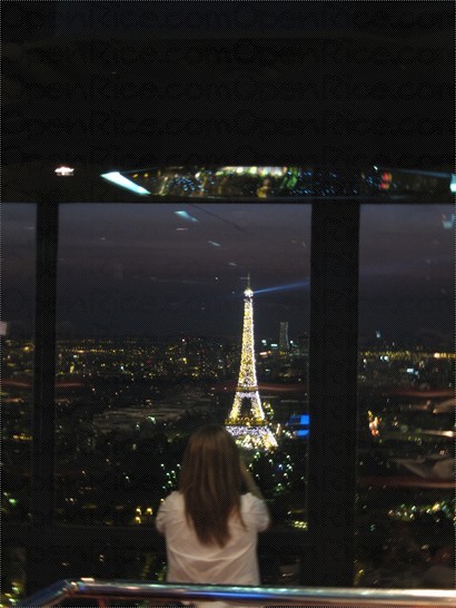 正好看到巴黎鐵塔亮燈最閃爍的那一刻