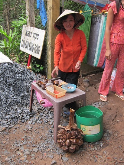 西貢小姐賣海底椰