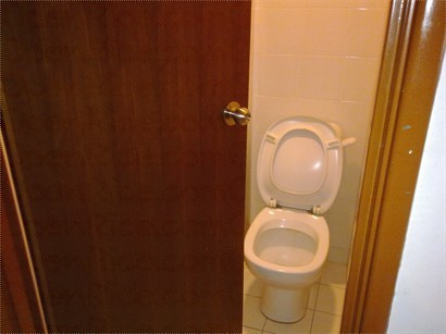toilet雖然算乾淨, 但設計較舊