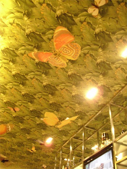 天花板有蝴蝶掛飾
