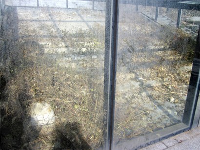 漢白玉的陵墓神道