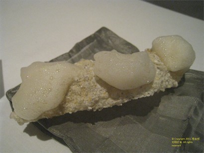 Cod fish crust