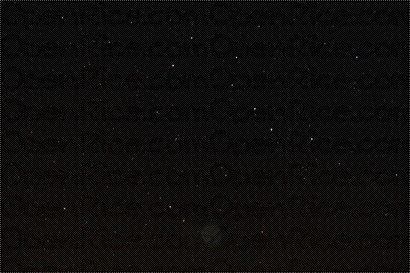 這裡沒有光污染，晚上可以看到很多的碎石般的繁星