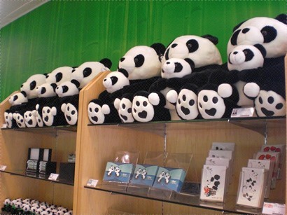澳門大熊貓禮品館，有好多可愛嘅熊貓公仔同紀念品架，無買都入去睇下。