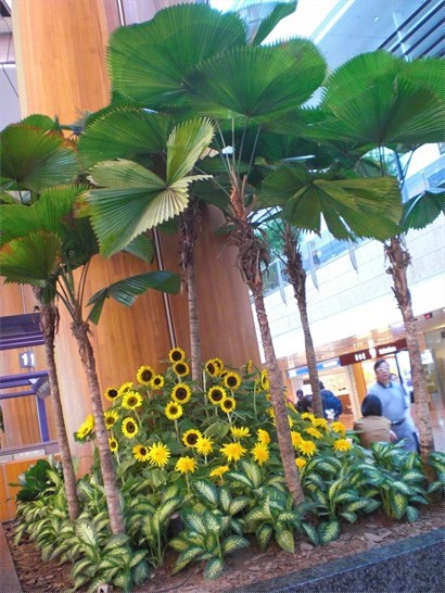 仲有其他地方都種有向日葵，被人感覺個機場都爽朗啲！