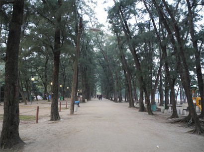 黑沙公園，樹影處處。