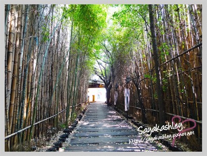 穿過這片竹林走到盡頭便到達汗蒸的入口。  這邊的風景好像日本京都嵯峨野的竹林， 好漂亮～！