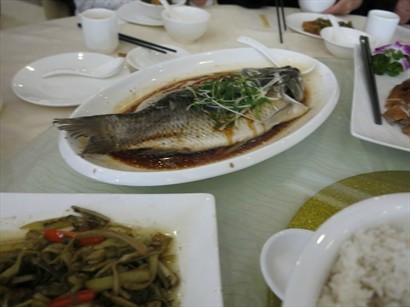 清蒸鯇魚