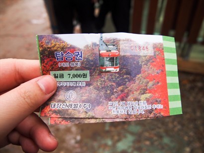 坐纜車需要額外買票的，那條隊超多人！來回7,000won，好貴！
