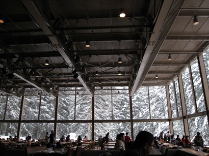 冬季限定的森林餐廳