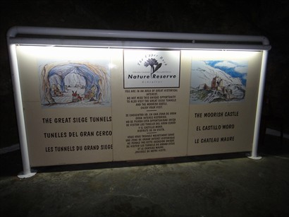 St. Michael's Cave: Upper Rock Nature Reserve