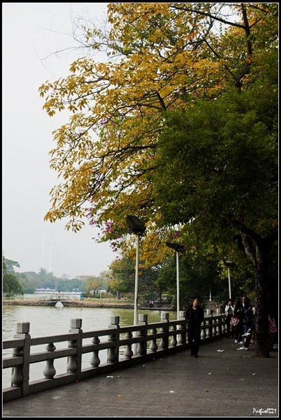 這惠州西湖設置真的有點像杭州西湖，但以這裏的環境和氣氛和文化氣息，真的不可以和杭州西湖相比。 