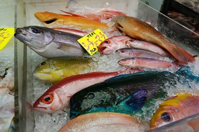 市場也有不少魚類刺身，當中有很多都是沒有在香港看過的，非常特別。