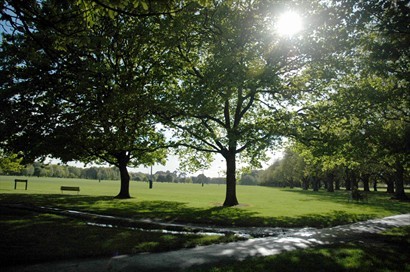 寬廣的Hagley Park，由大草地進入，分為不同區域，隨便走走也可消磨一個下午