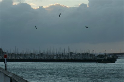 Sea gulls & Yacht behinds