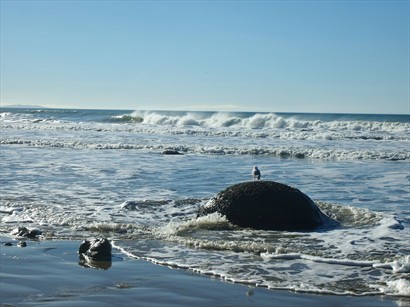 海鷗、海浪和大石