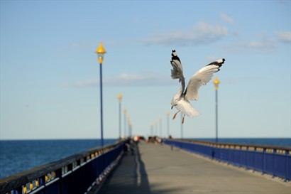 New Brighton Pier