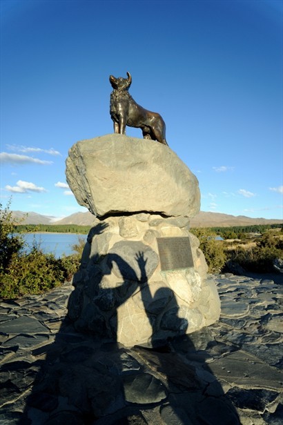 Lake Tekapo旁的Statue to the working dog