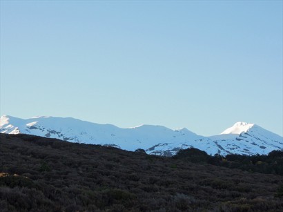 一早醒來，窗外可看到Mt. Ruapehu