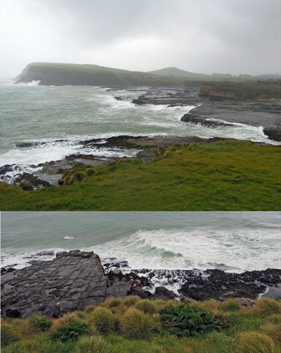 小丘上望向Curio Bay，風浪極大，同時雨亦越下越大