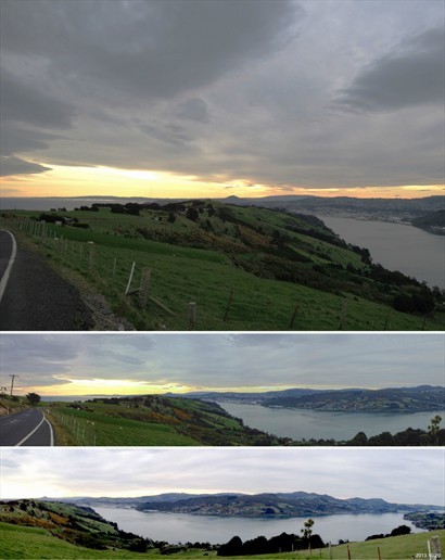 Otago半島的全景，在小丘上一覽無遺