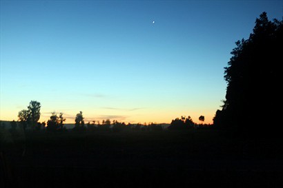 日落後與 sweden 旅客走出 lake matheson 時看見月亮