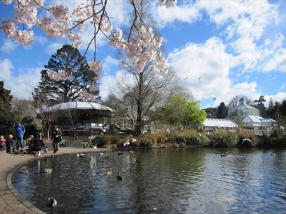 Dunedin Botanic Garden(但尼丁植物園)