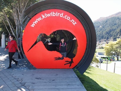Kiwi & Birdlife Park