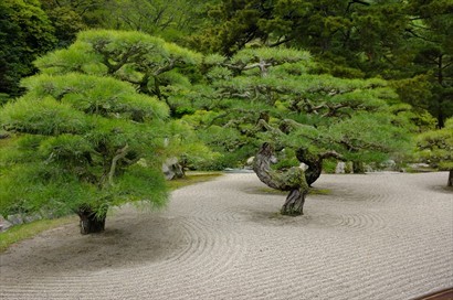 典型的日式庭園