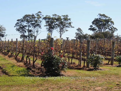 Bimbadgen Estate 葡萄種植區