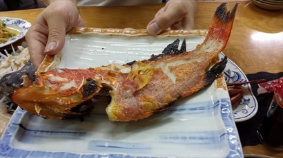 燒石斑魚