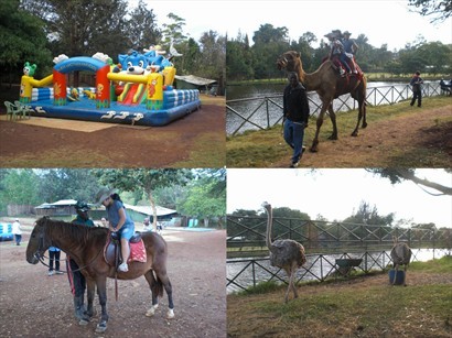 園內可騎馬、騎駱駝，還有不少供小朋友參與的活動。