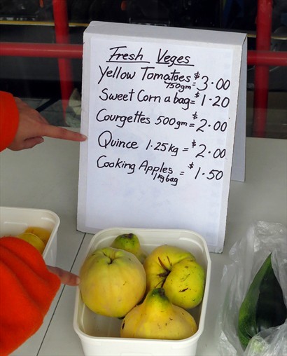 一位婆婆在一個小檔擺賣自己種的蔬果，大家有見過quince嗎？