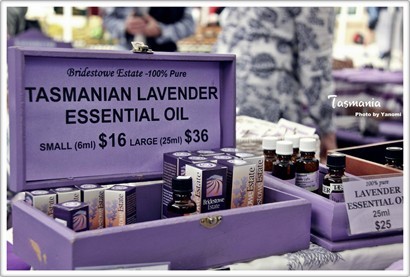有一檔專賣Lavender  有唔同薰衣草場既貨品~但當然無專門店咁齊呢