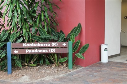 這間酒店叫 Kookaburra, 即係澳洲獨有的"笑翠鳥"
