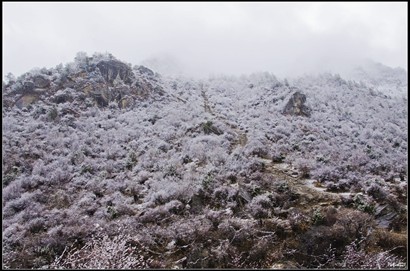 沒想到昨天在加查住一晚時，天氣是多麼的熱。睡了一夜，整個山頭已下滿了雪。