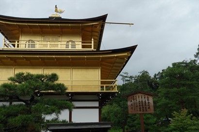 來到金閣寺舍利殿的側邊，能更清楚看到最頂的金鳳凰。