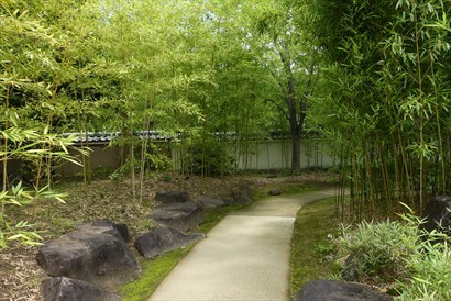 竹之庭，裏面全是茂密的青綠色竹林。好古園的特色是以不同的植物品種分成多個庭園。