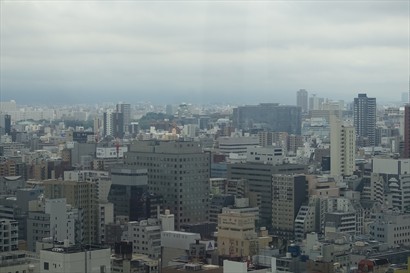 在摩天輪廂座内望出去的風景。看到大阪城吧？就是那白色淺綠色的塔形建築，在一堆樹木中矗立着。