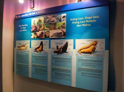 各式展版介紹海洋動物生態