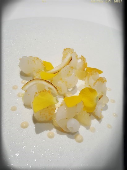 Squid & citrus fruit with dried mullet roe