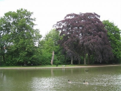 The park is seasoned with different colours.