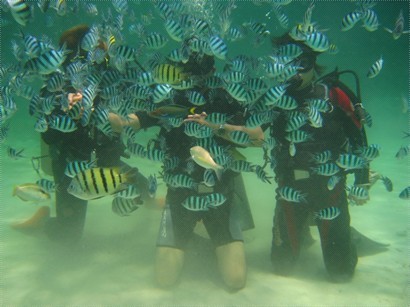 沙比島潛水樂趣