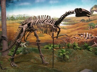 恐龍化石